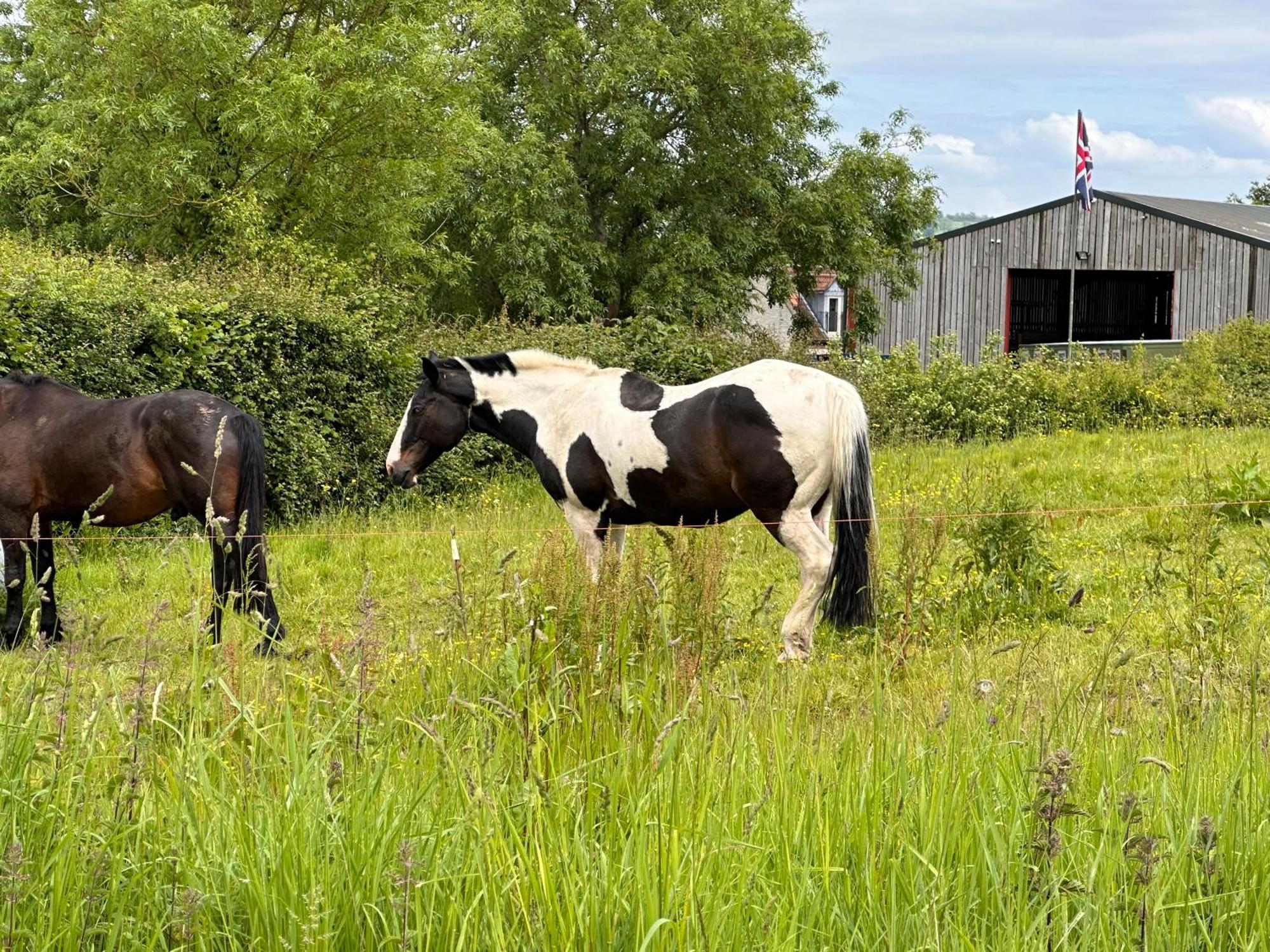 Sticklinch Farm Cottage Near Glastonbury Town & Walking Distance For Festival 4 Beds Sleeps 5 Bagian luar foto